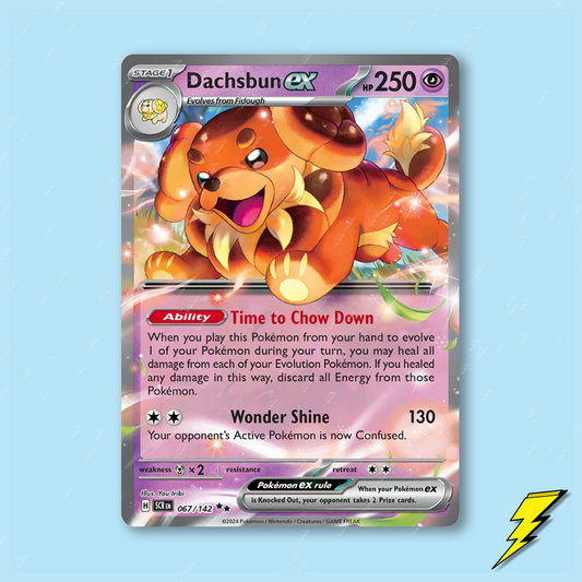 Dachsbun ex - 67/142