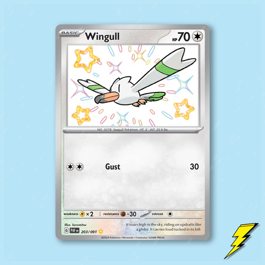 Wingull - 203/091