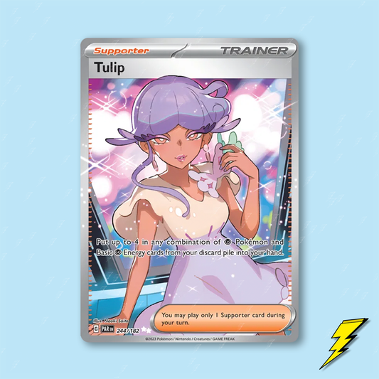 Tulip - 244/182